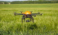 Dronlar qishloq xo‘jaligida