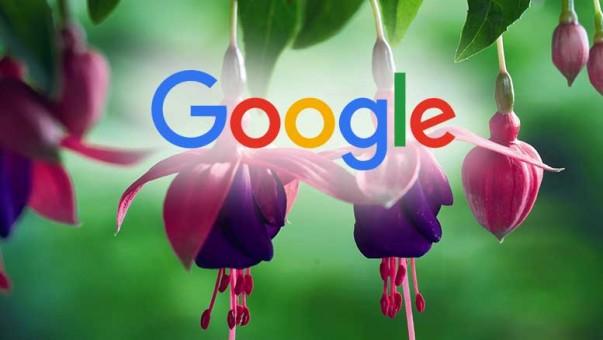 Андроид ўрнини босувчи Google​дан янги тизим — Fuchsia​ ОС