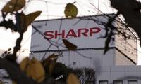 Sharp OLED дисплейларни тайёрлаш учун 566 млн доллар сармоя сарфламоқчи