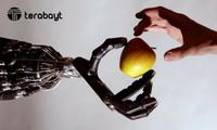 Роботлар учун тери яратилди – энди улар сеза олишади! (+видео)