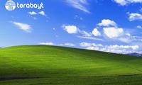 Microsoft kiberhujumlar xavfi tufayli Windows XP va boshqa eski tizimlarini yangiladi