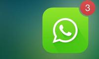 WhatsApp’нинг iOS версиясида GIF-анимациялар пайдо бўлди