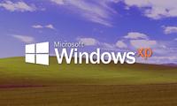 Windows XP ҳалигача Microsoft’га қарашли энг оммабоп операцион тизимлардан бўлиб қолмоқда