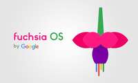 Android ўрнига келувчи Fuchsia OS: Pixelbook’дан олинган суратлар