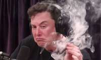 Илон Маск ўзига душманлик қилди – битта твит билан Tesla акциялари нархини тушириб юборди!